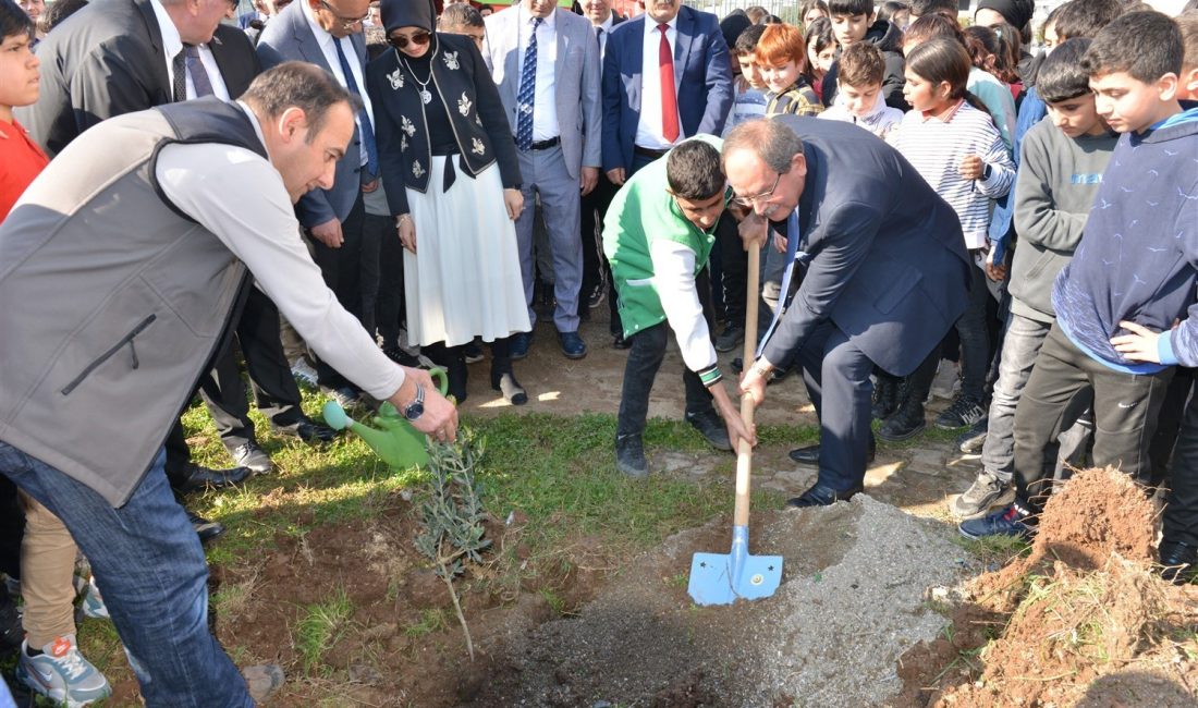 MERSİN'DE ORMAN BÖLGE MÜDÜRLÜĞÜ,