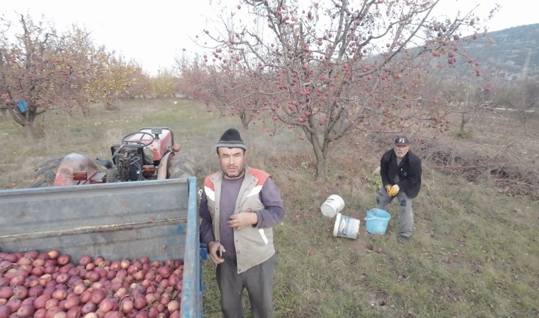 ANTALYA'DA ÇİFTÇİ BABASINI ‘DRON