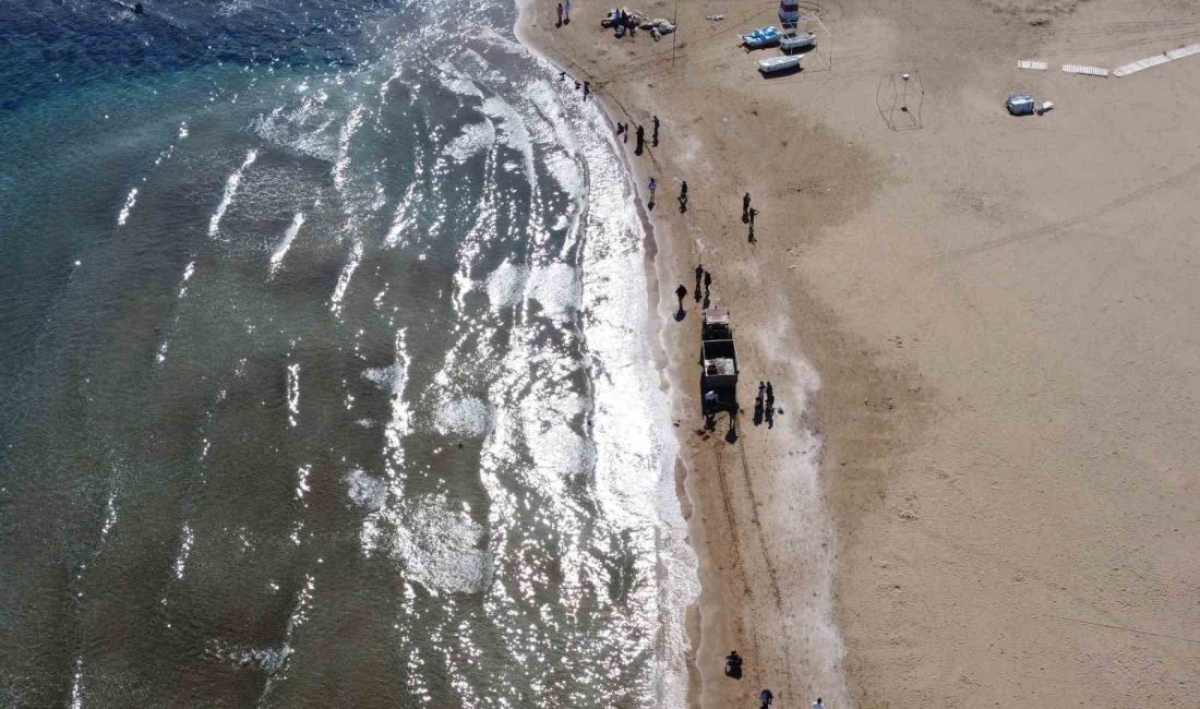 TÜRKİYE'NİN TURİZM MERKEZLERİNDEN MERSİN'DE SAHİL KENARLARINI DOLDURAN ZEHİRLİ DENİZ ANALARI