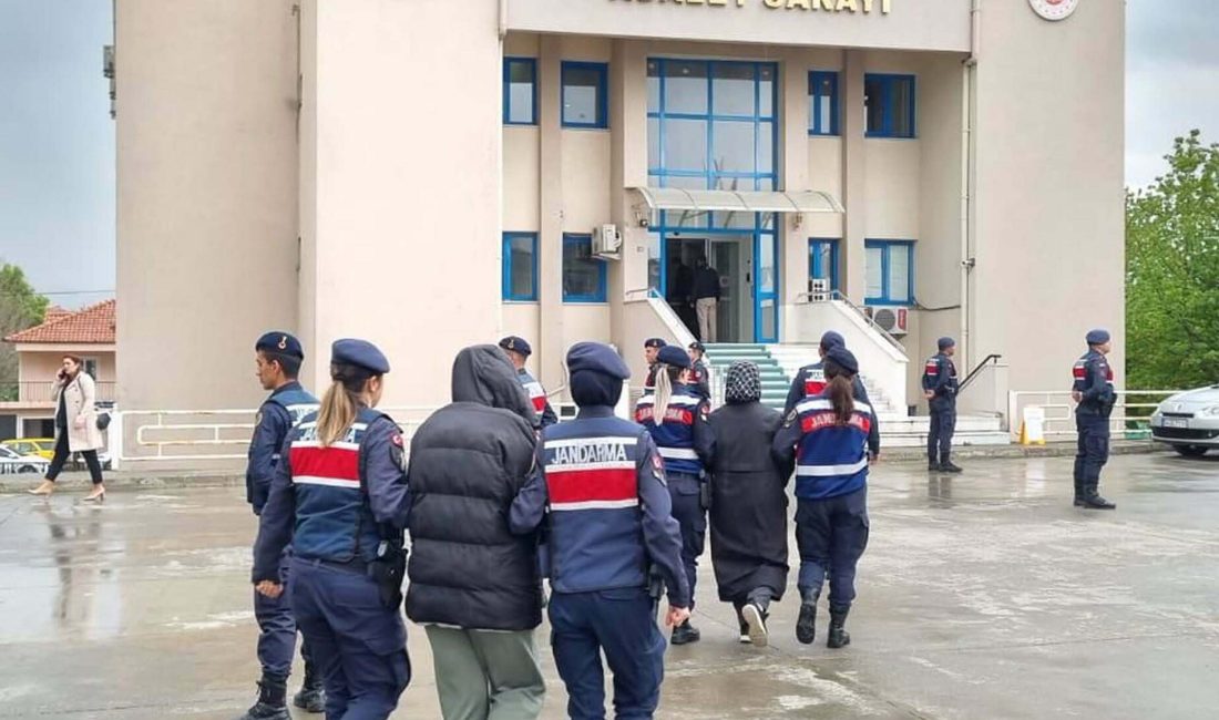 Cavit AKGÜN/MUĞLA, – MUĞLA merkezli 4 ilde jandarmanın düzenlediği operasyonda