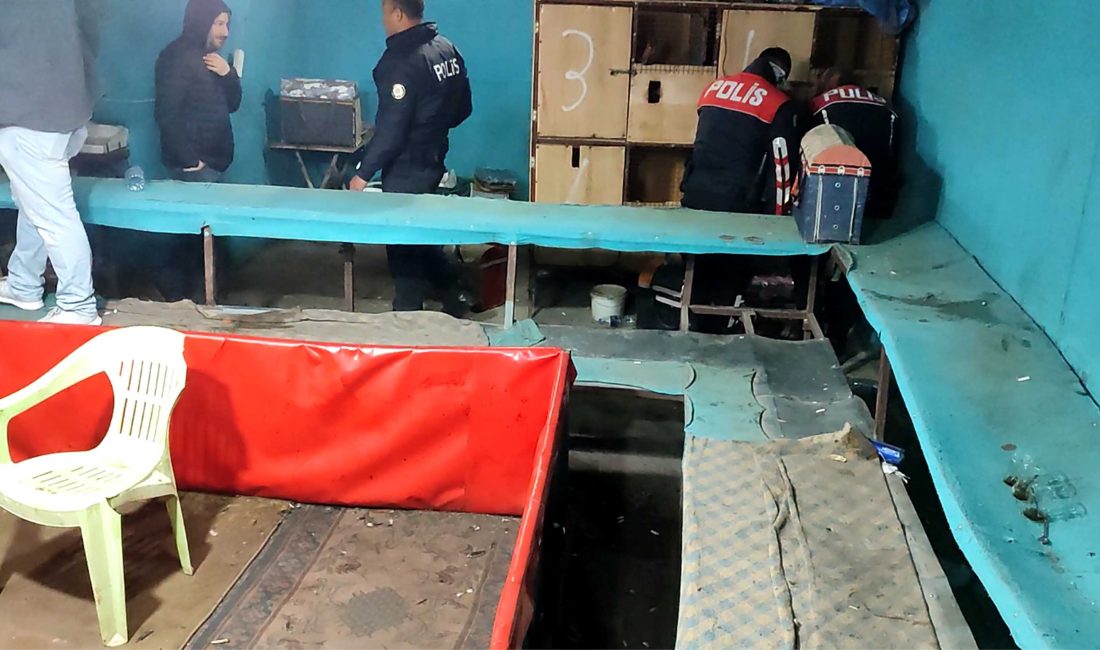 İbrahim EMÜL/OSMANİYE, – OSMANİYE’de horoz dövüştürüp bahis oynadıkları belirlenen 94