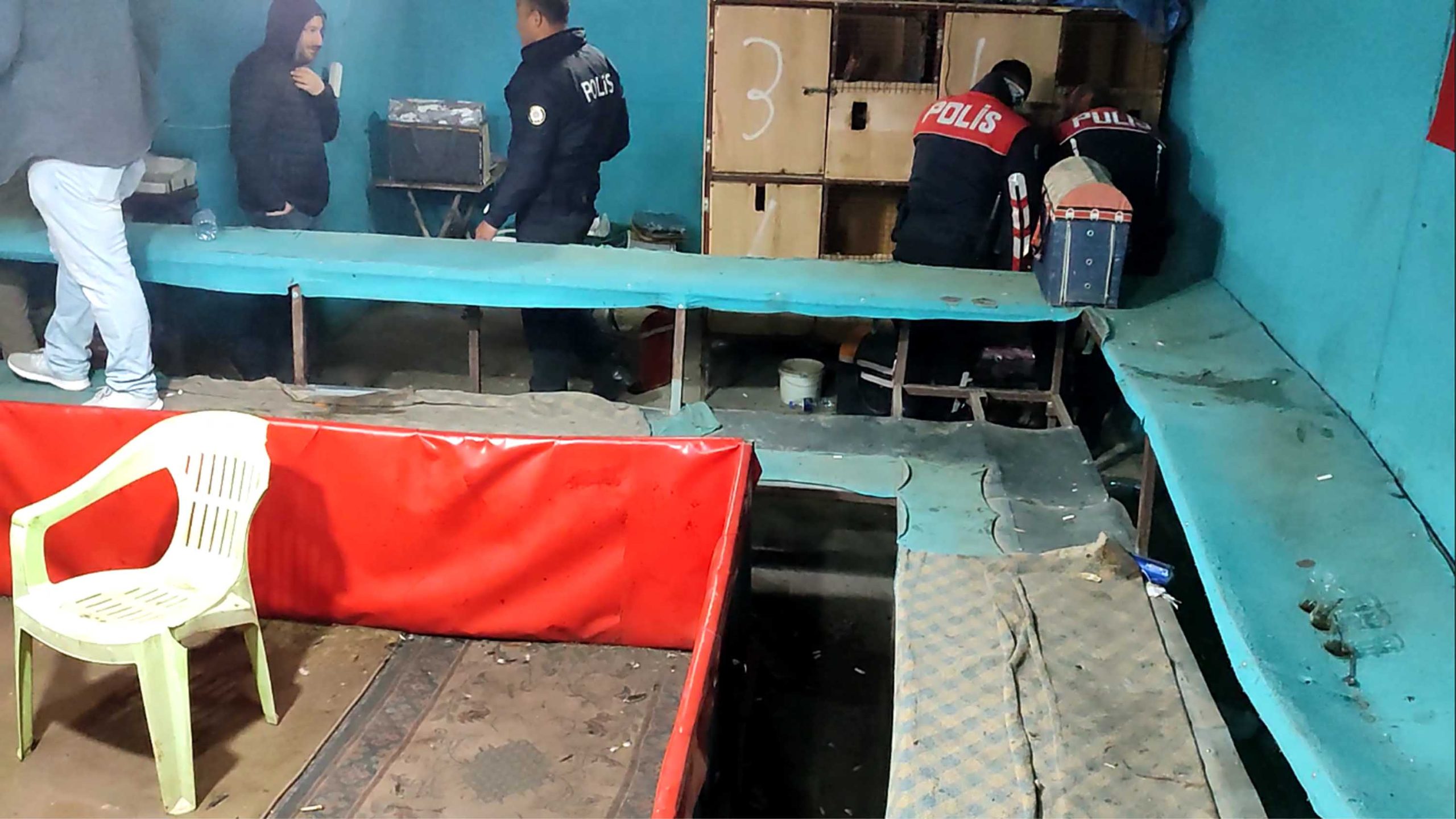 horoz dovusu uzerinden bahis oynayan 94 kisiye 603 bin lira ceza 65fc39a7c3830 scaled