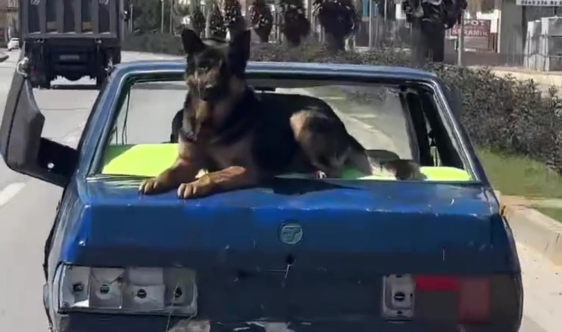 Alparslan ÇINAR/ ANTALYA, – ANTALYA’da aynaları, camları, plakası olmayan ve