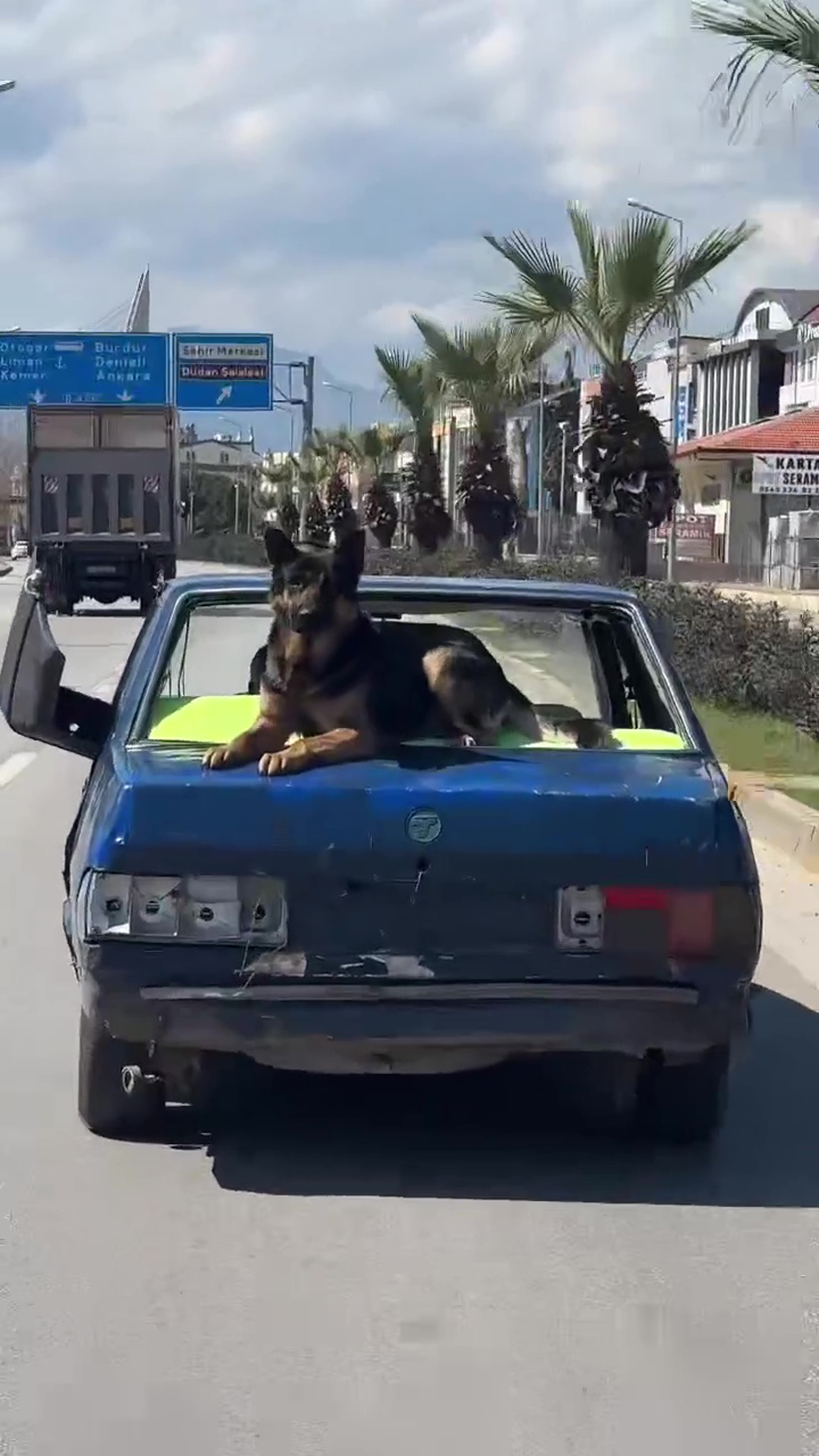 hurda otomobiliyle uzerinde kopekle kilometrelerce yol gitti 65f43f0fd2fed