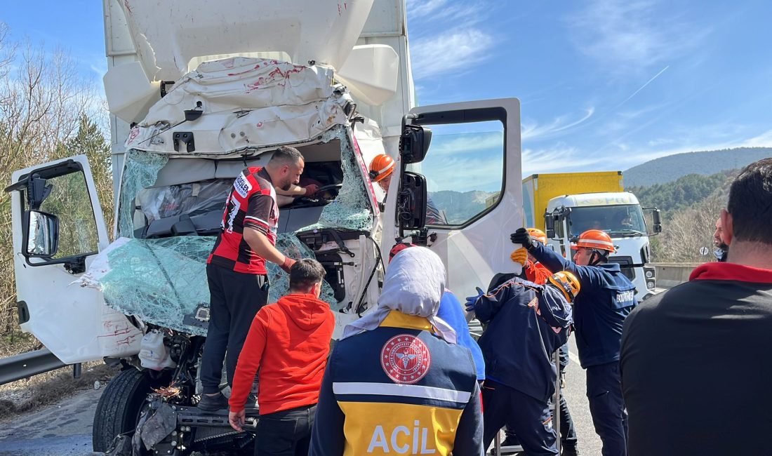 Mutlu YUCA/BOLU, – BOLU’da lastiği patlayınca sürücüsünün emniyet şeridine park