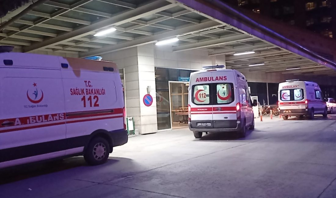 Akif ÖZALP/ TİLLO (Siirt), – SİİRT’in Tillo ilçesinde, patpat diye bilinen tarım