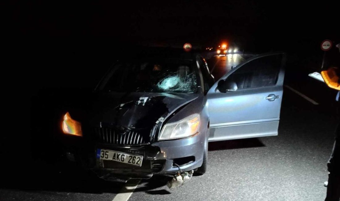 Salih KESKİN/MARDİN, – MARDİN’in Midyat ilçesinde yolun karşısına geçerken otomobilin