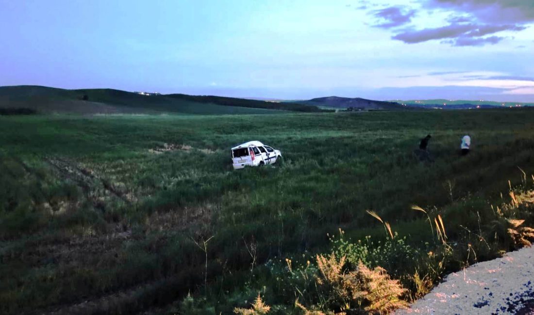 KAHTA(Adıyaman), – ADIYAMAN’ın Kahta ilçesinde, sürücüsünün direksiyon hakimiyetini kaybettiği hafif