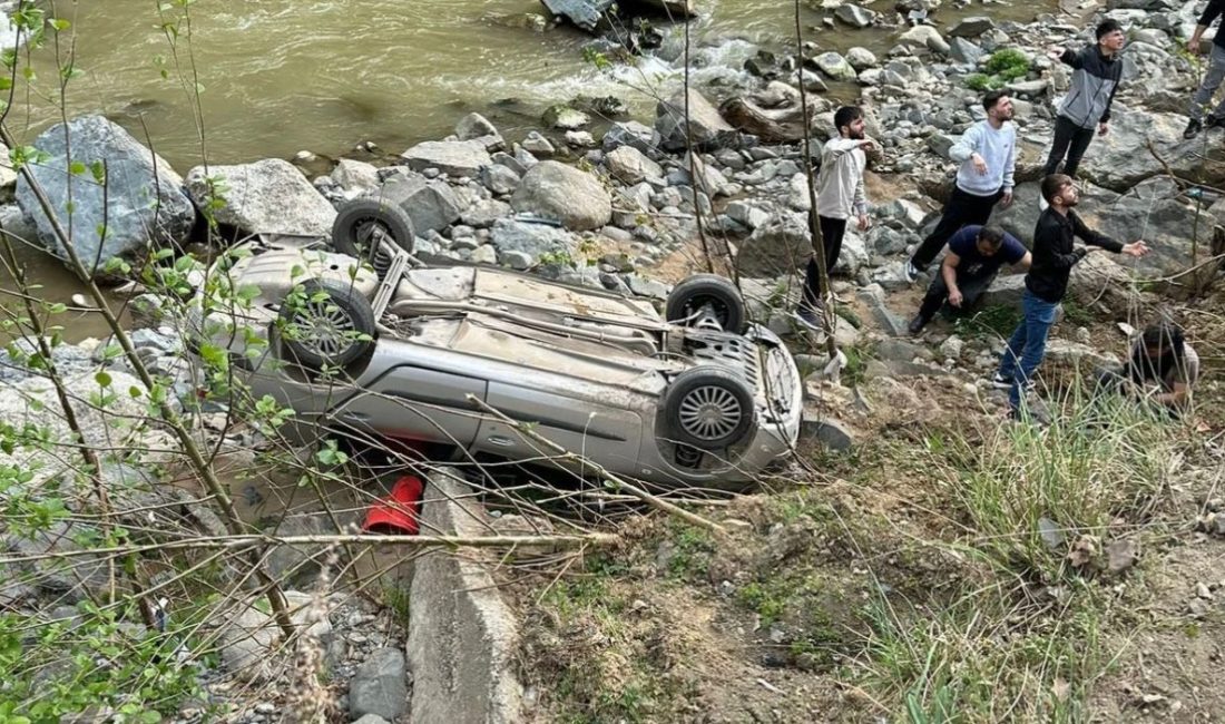 Nurbay USTA/ BORÇKA (Artvin), – ARTVİN’in Borçka ilçesinde, sürücüsünün kontrolünden