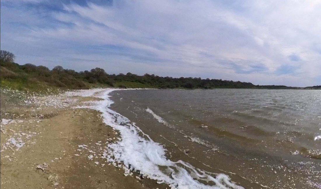 Nazif Cemhan ŞEN/ÇANAKKALE, – ÇANAKKALE’nin Ezine ilçesinde belli dönemlerde pembe