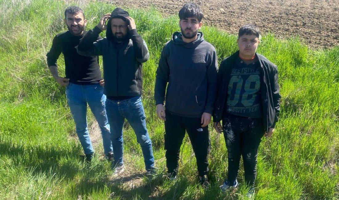 Ünsal YÜCEL/ EDİRNE, – EDİRNE’de, Yunanistan’a çıkmak isteyen 4 kaçak
