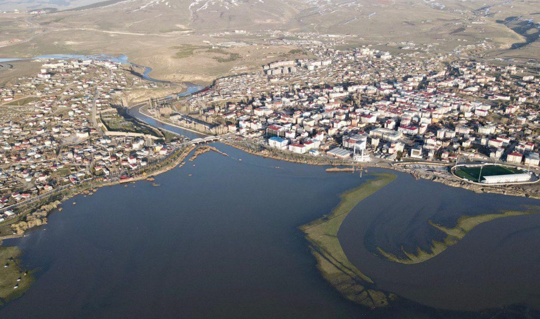 Dinçer AKTEMUR/ ARDAHAN, – ARDAHAN Ovası, havaların ısınmasıyla dağlardaki karların