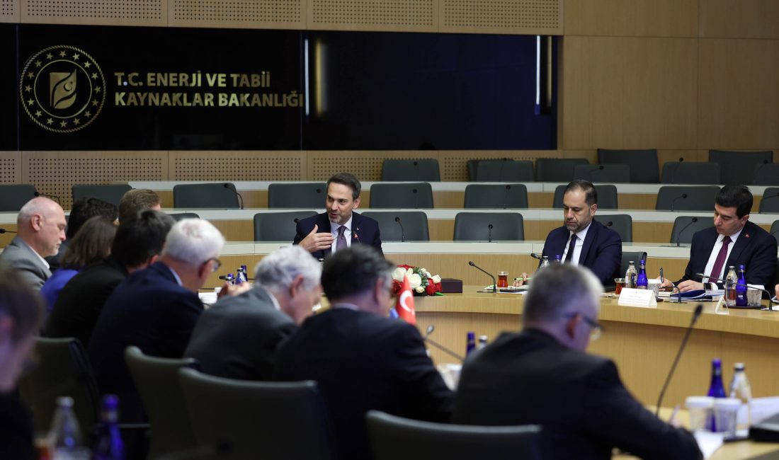 Enerji ve Tabii Kaynaklar Bakanı Alparslan Bayraktar, Avrupa Birliği ülkelerinin