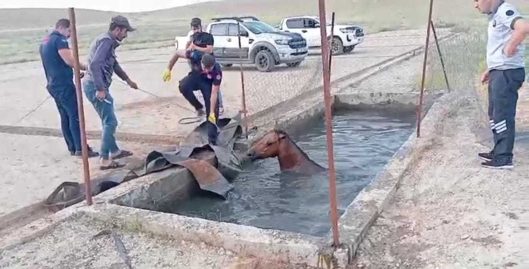 batmanda atik petrol kuyusuna dusen ati itfaiye kurtardi 665a0fb8b07f3