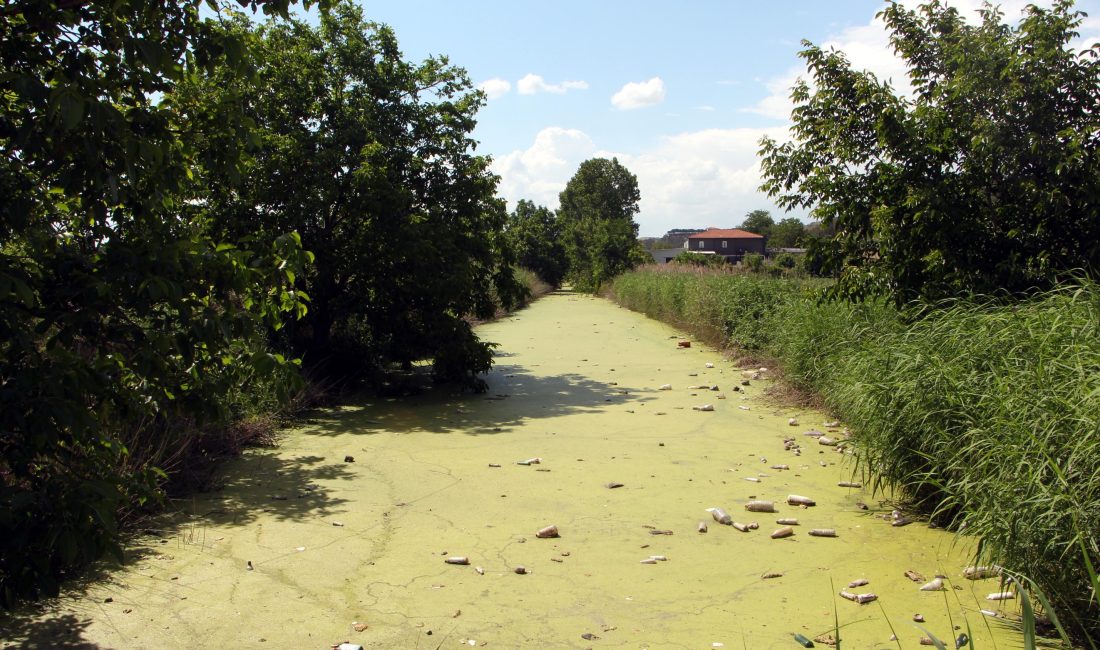 Edirne’de tarım arazilerini sulamak için kullanılan Bayır Deresi, kirlilik sebebiyle