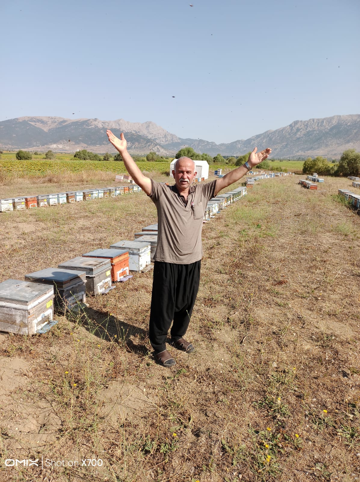 BAŞKAN TOPAL; ARILAR İÇİN ARI GİBİ ÇALIŞMALIYIZ DEDİ