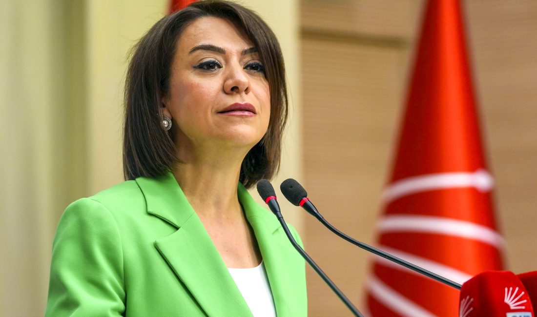 CHP Genel Başkan Yardımcısı Gamze Taşcıer, emekli yurttaşların temel ihtiyaçlarını