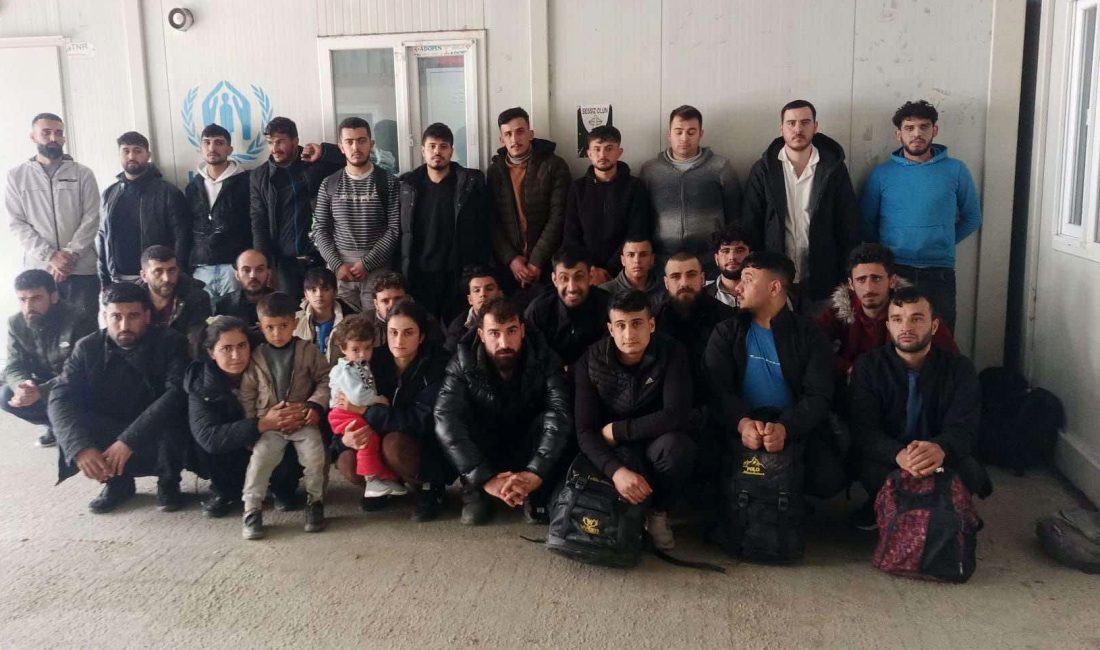 Edirne’de 37 kaçak göçmen Yunanistan’a gitmek isterken yakalandı. Jandarma ekipleri