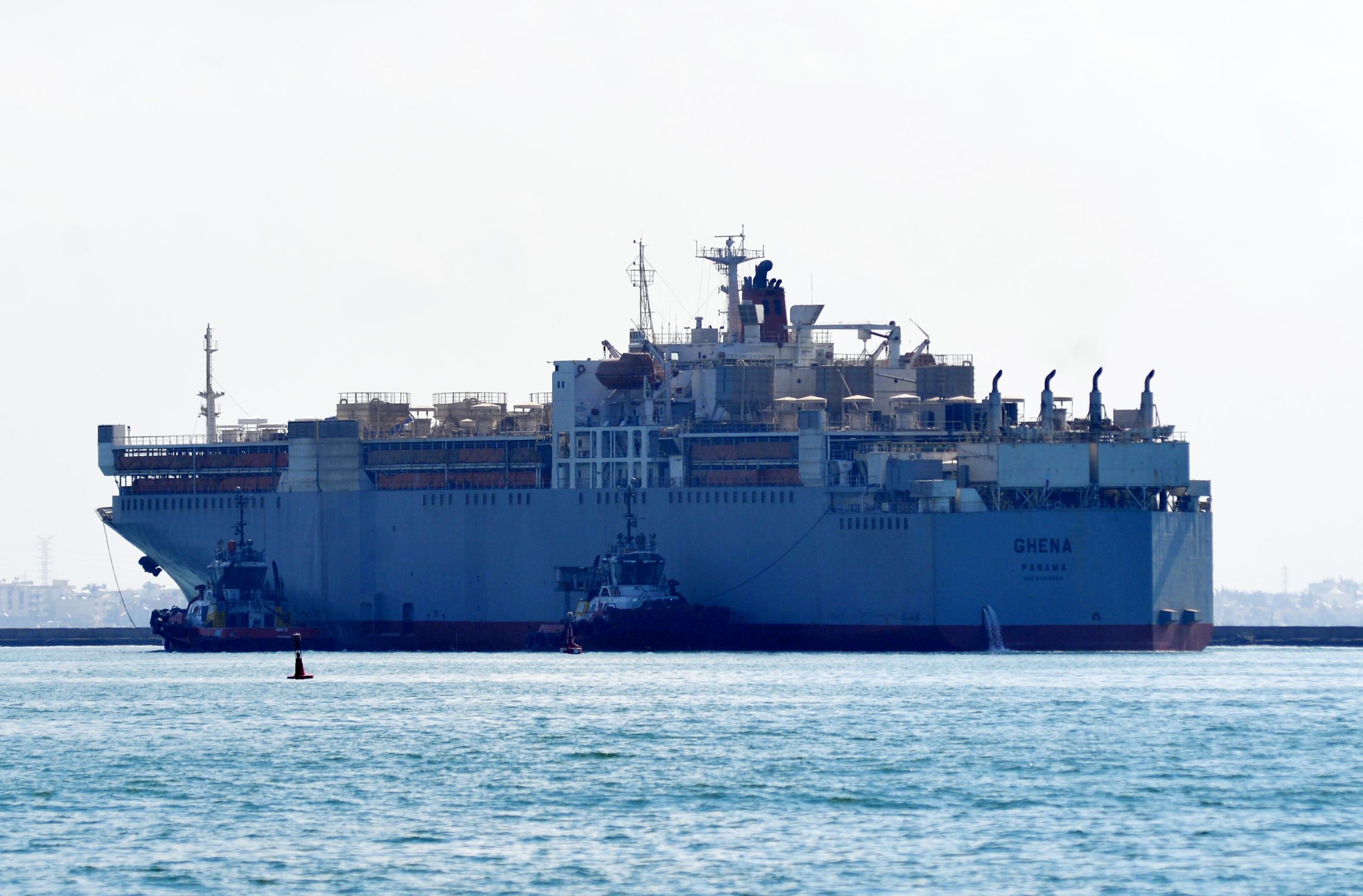 mersin limanina gemiyle 16 bin angus geldi 66433ebb8be65 scaled