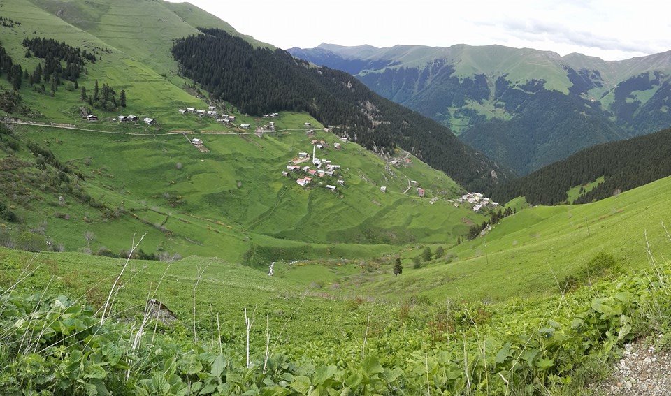 muhtarlik yarisinda sabika engeli 66364dd4dc144