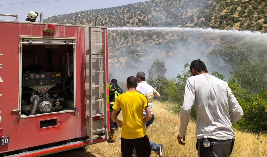 Yeni neslin sosyal medya platformlarını tercih ettiği görülüyor. İLGİNİZİ ÇEKEBİLİR: