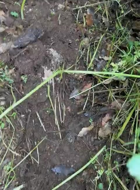 BİNGÖL’ün Solhan ilçesine bağlı Yenidal köyünde yer altından duyulan ses