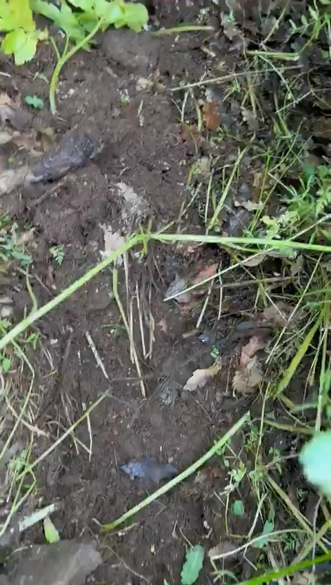 prof dr gorur bingolde yer altindan gelen ses kayalarin kirilmasina isaret etmiyor 664333014e1a4