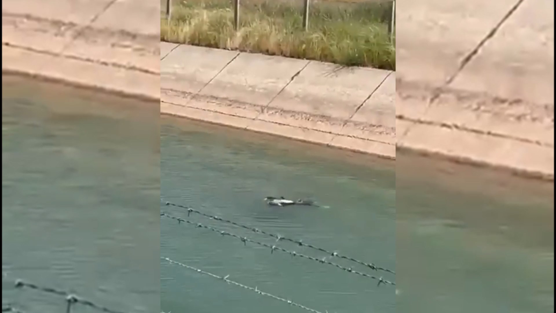 Suruç'ta Yasin kanaldan kurtarıldı