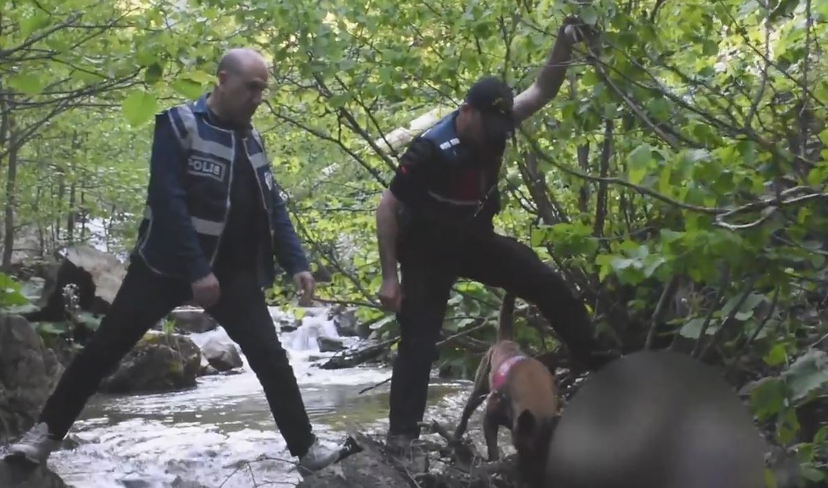 Giresun'da Kayıp Adamın Cesedi Ormanda Bulundu