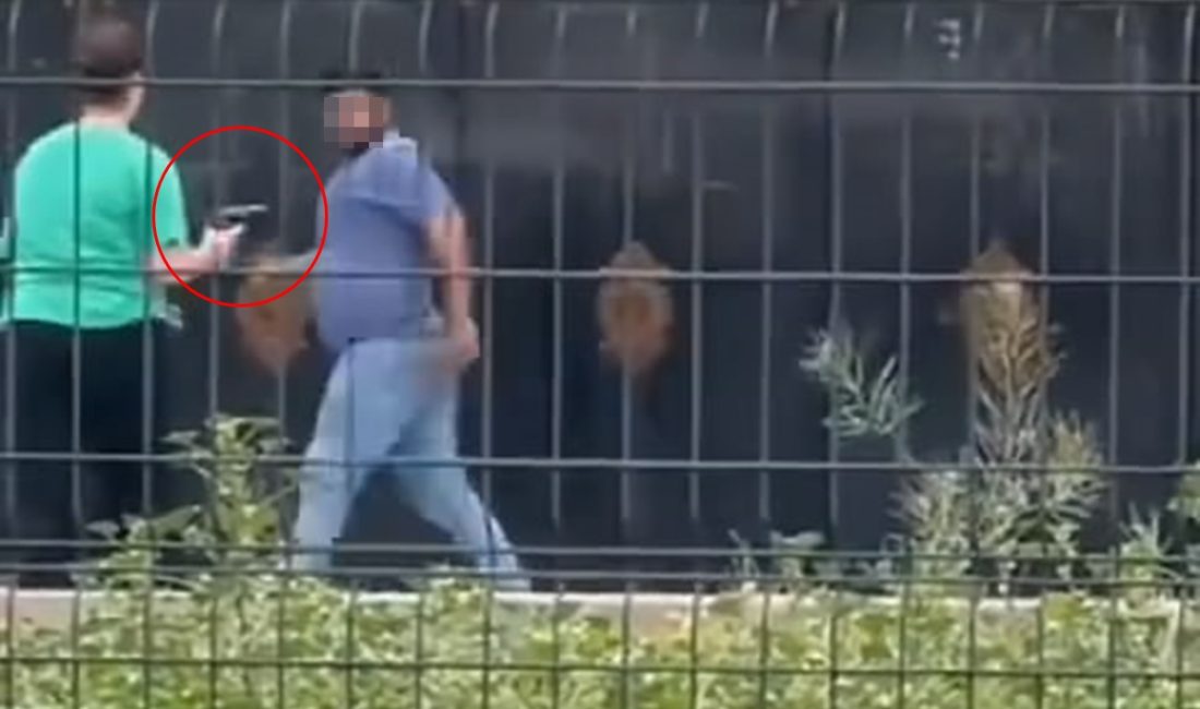 Kızıltepe ilçesinde bir kız öğrenci, devamsızlık ve disiplin cezaları nedeniyle