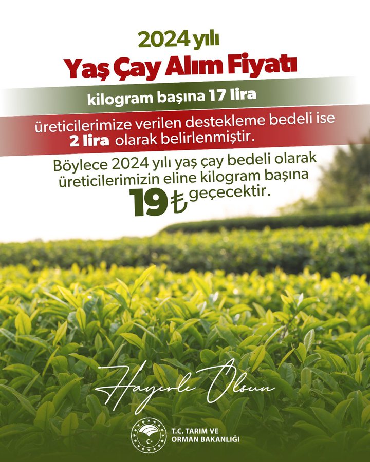 TARIM ve Orman Bakanlığı, 2024 Yılında Yaş Çay Alım Fiyatını ve Üreticilere Verilen Destekleme Bedelini Açıkladı