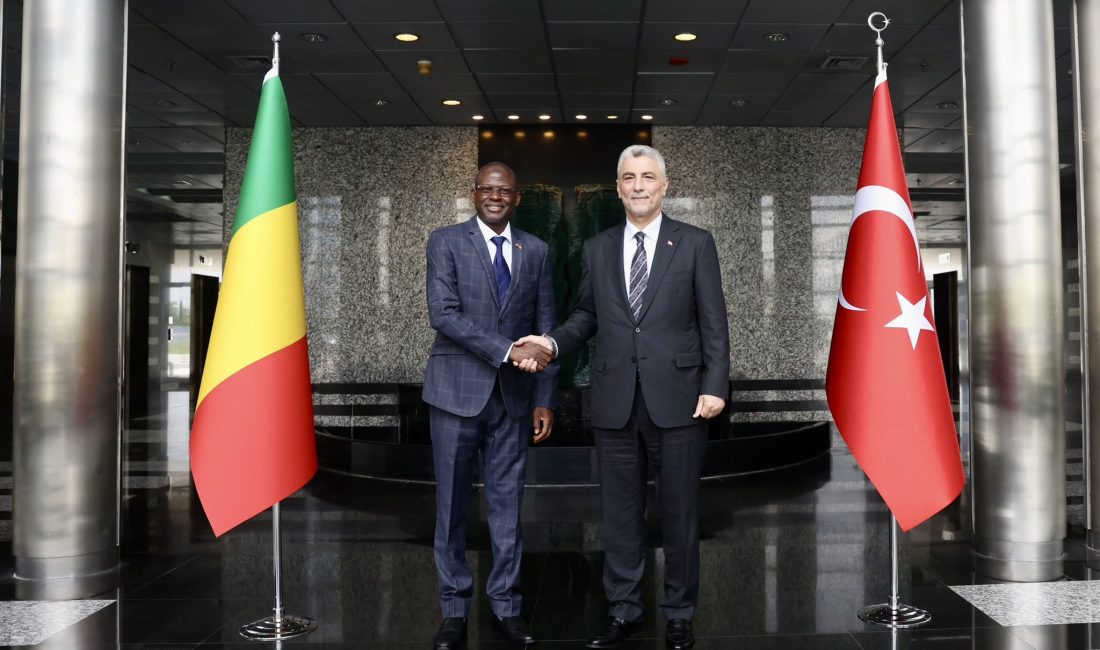 Ticaret Bakanı Ömer Bolat, Mali Sanayi ve Ticaret Bakanı Moussa