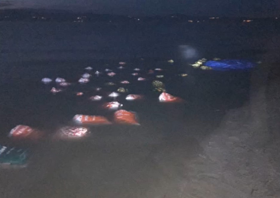 vanda 3 ton 300 kilo inci kefali ele gecirildi 663e04738ddda