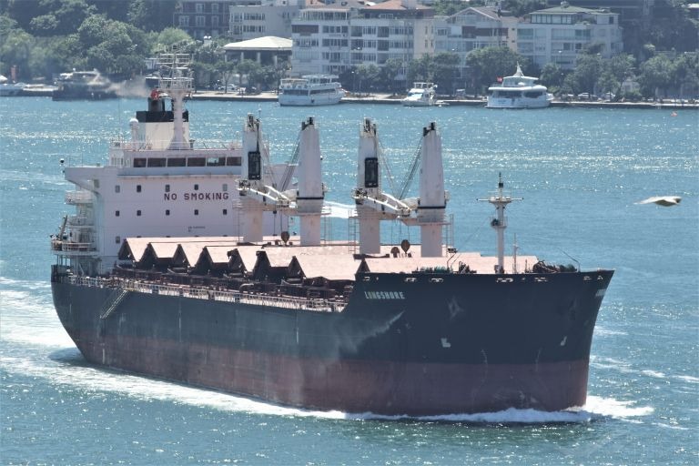 Ereğli’de Kolombiya’dan gelen kömür yüklü gemide 141,5 kilo kokain ele