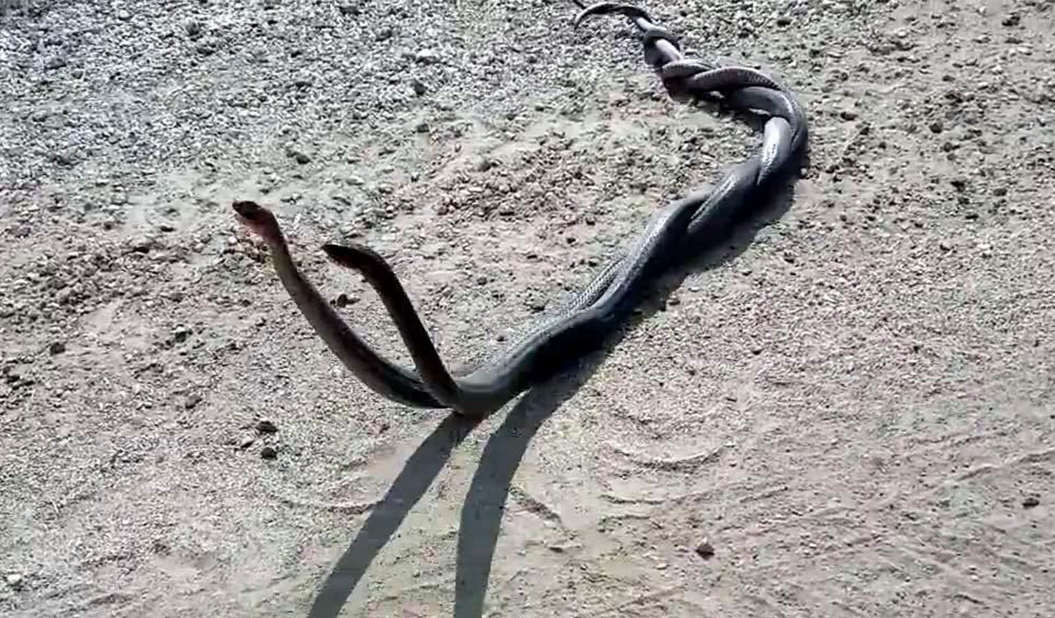 20180617104408 kenttv haber 1536