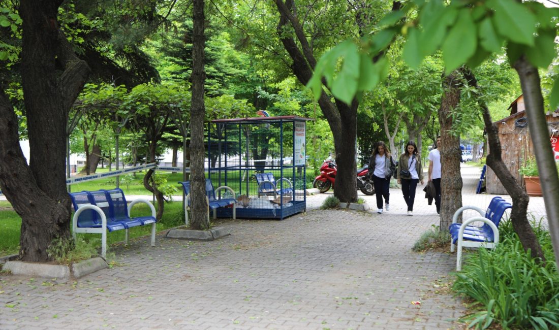 Yeşil Üniversiteler Dünya Sıralamasında Türkiye’den 6 Üniversite İlk 100’de Yükseköğretim