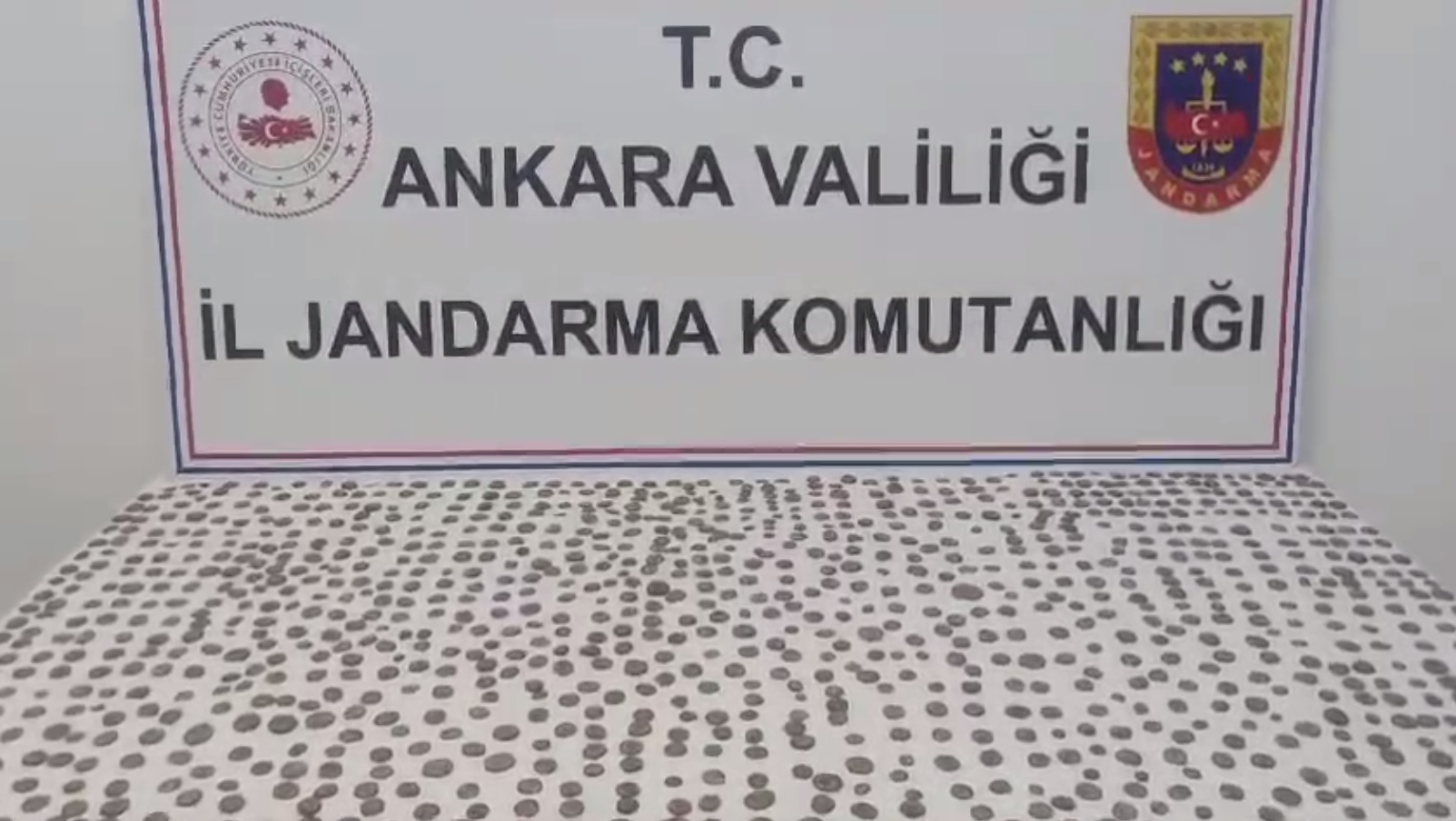 ROMA DÖNEMİNE AİT 1100 TANE SİKKE ELE GEÇİRİLDİ