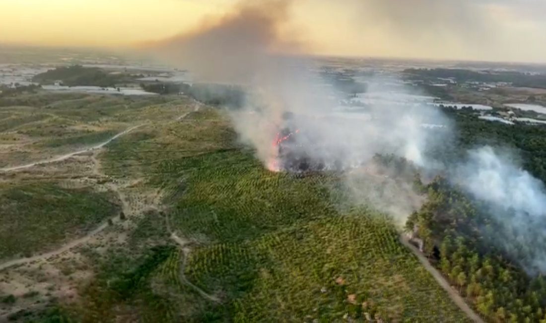 Antalya’nın Aksu ilçesinde bugün sabah saatlerinde çıkan orman yangınına, ekiplerin