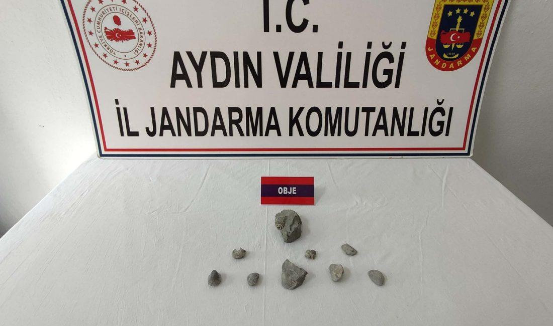 Kuşadası’nda tarihi eser kaçakçılığı operasyonu! Aydın İl Jandarma Komutanlığı ekipleri,