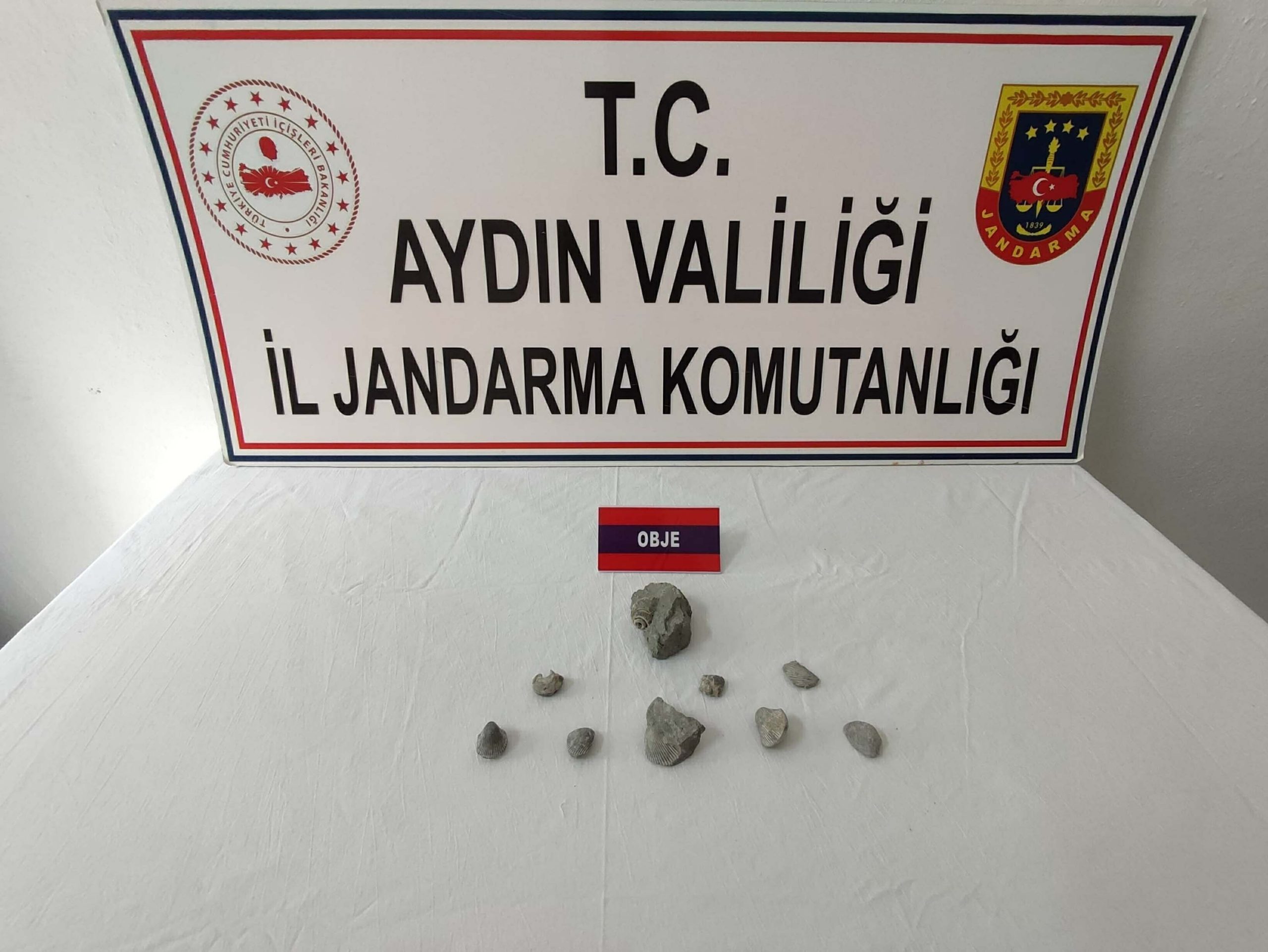Kuşadası'nda 400 Bin Yıllık Fosil Kaçakçısı Yakalandı!