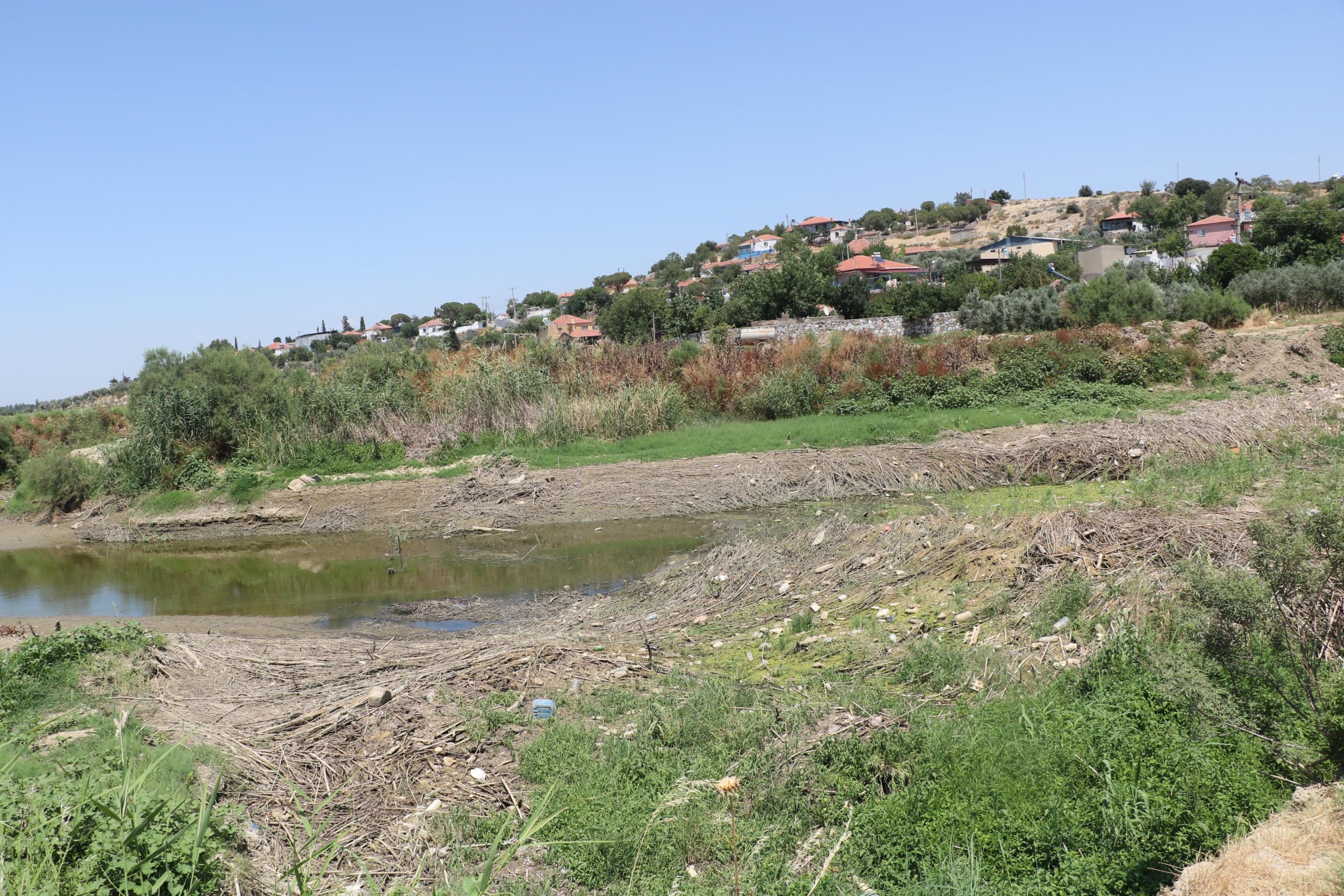 Büyük Menderes Nehri'nde Kuraklık Alarmı Var!