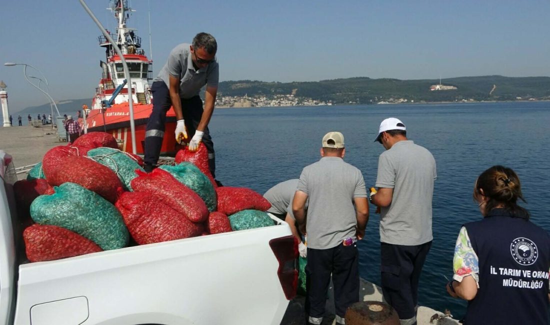 Çanakkale’nin Lapseki ilçesinde yapılan operasyonda kaçak avlanma tespit edilen 3