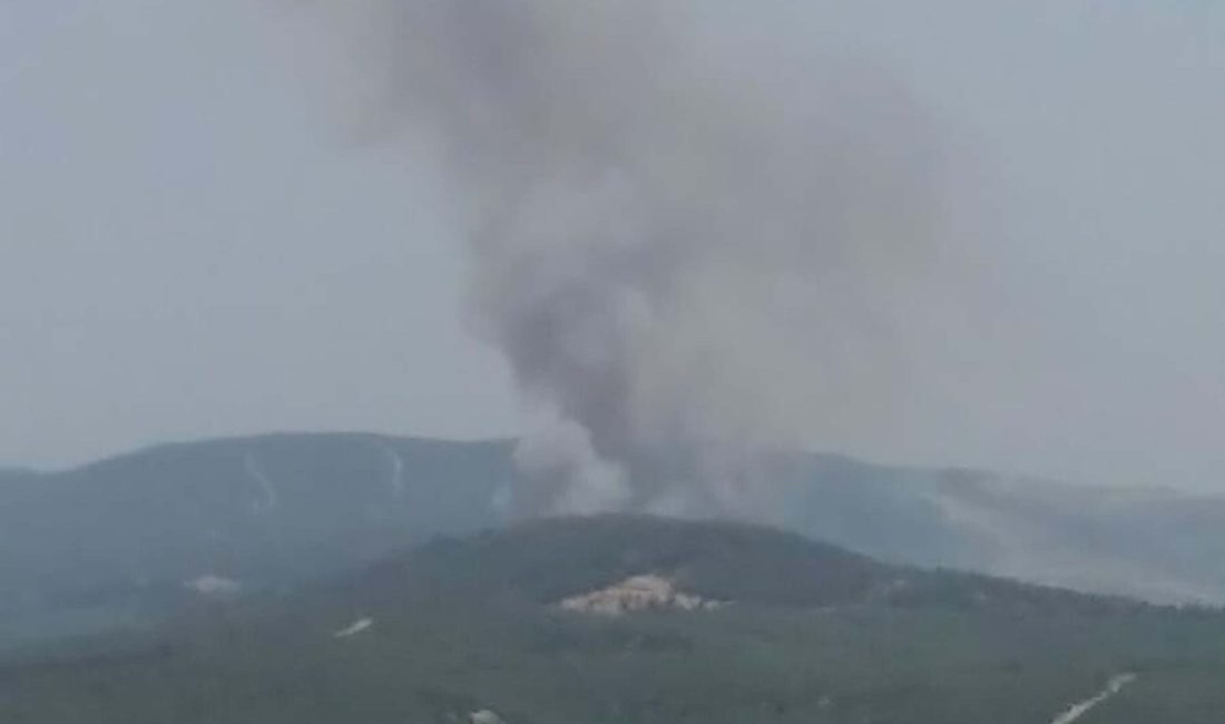 Çanakkale’nin Eceabat ilçesinde meydana gelen orman yangınına, hava ve karadan