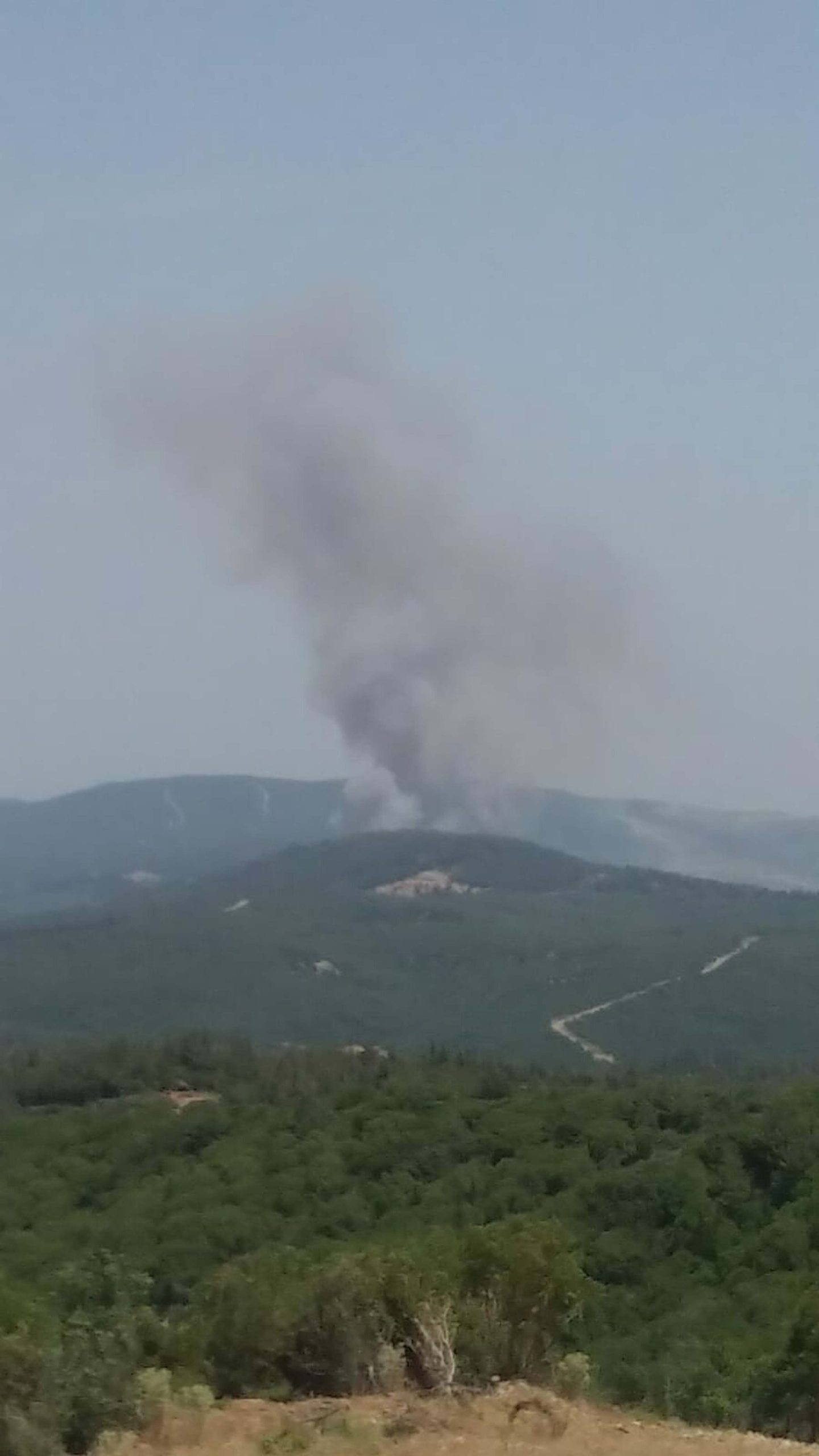 canakkalede orman yangini 666985256d4fe scaled