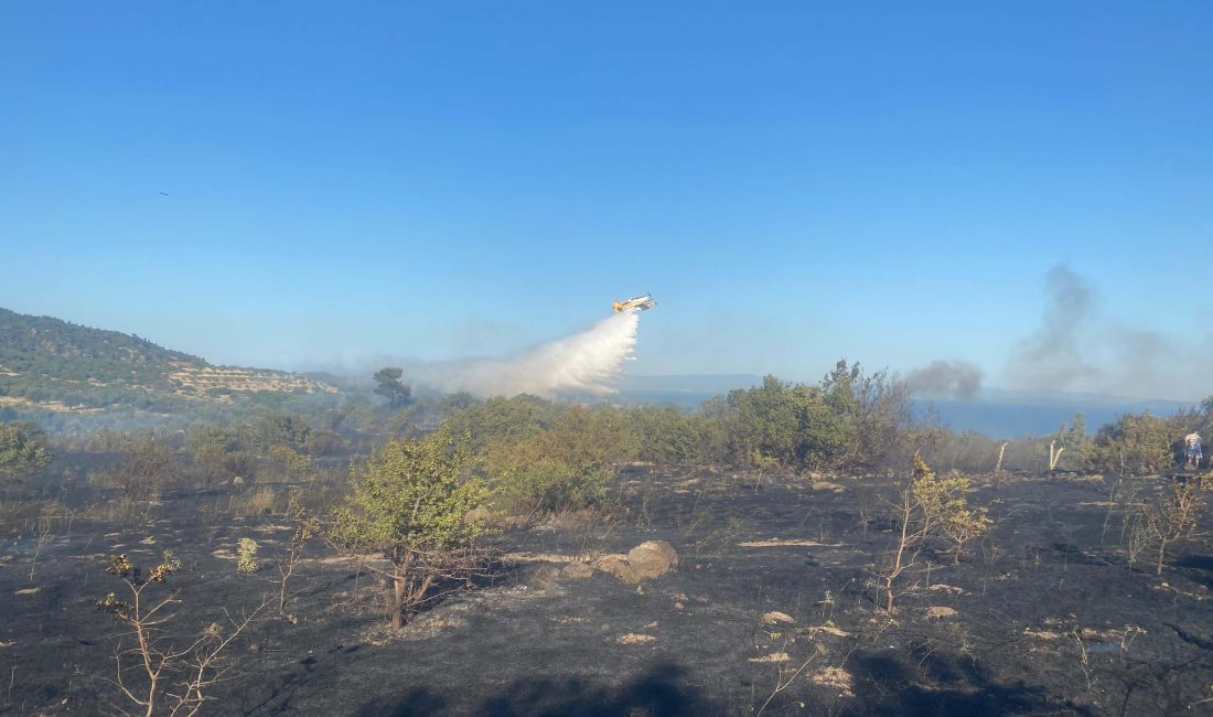 Çanakkale’nin Ayvacık ilçesinde tarım arazisinde başlayan yangın, rüzgarın etkisiyle hızla