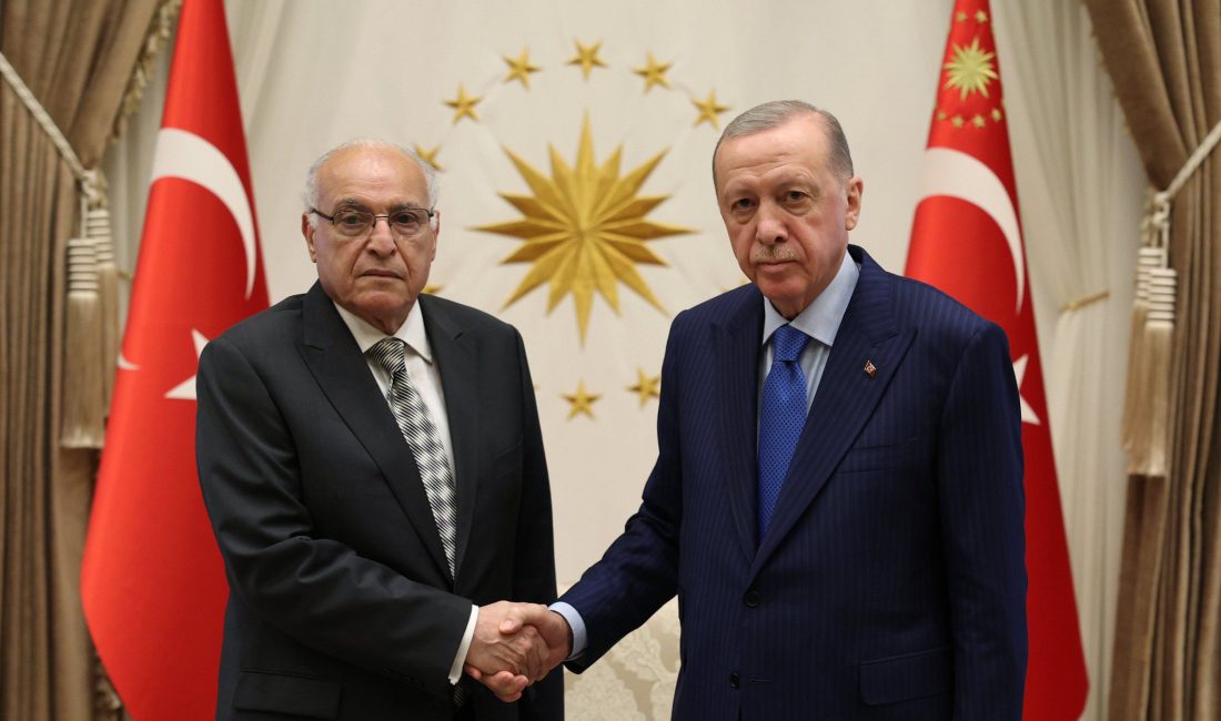 Cumhurbaşkanı Recep Tayyip Erdoğan, Asya Altyapı Yatırım Bankası Başkanı Jin