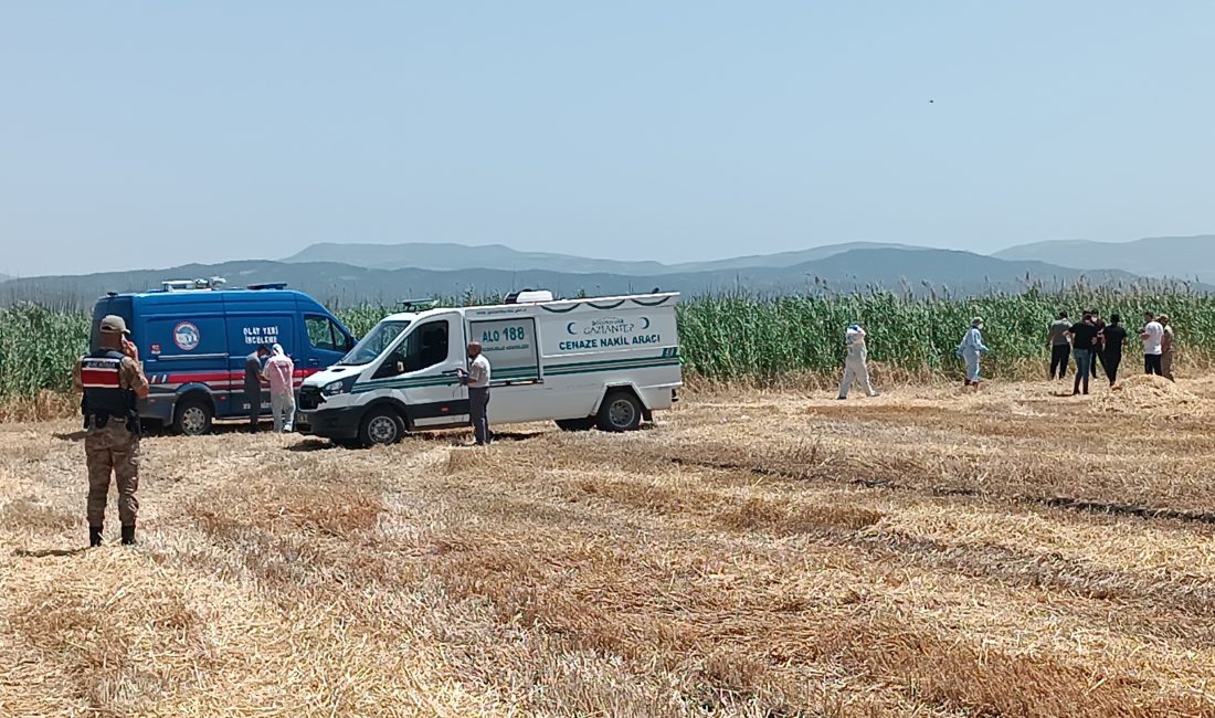 İslahiye ilçesine bağlı Şahmaran Mahallesi’nde bir biçerdöver operatörü, Tahtaköprü Barajı