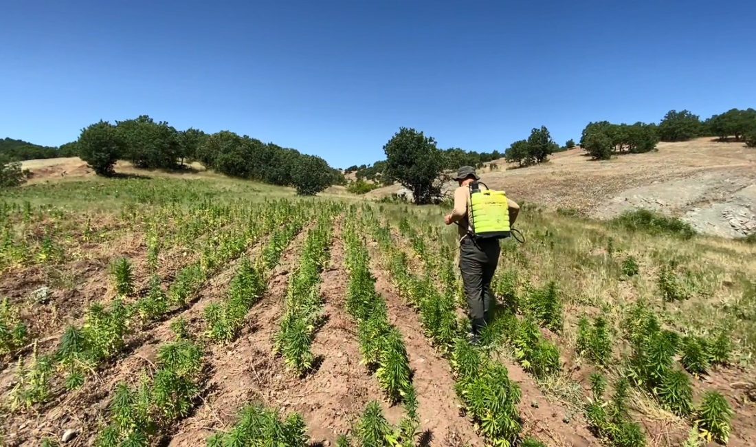 Diyarbakır’ın Lice, Hani ve Kulp ilçelerinde gerçekleştirilen operasyonda 2 milyon