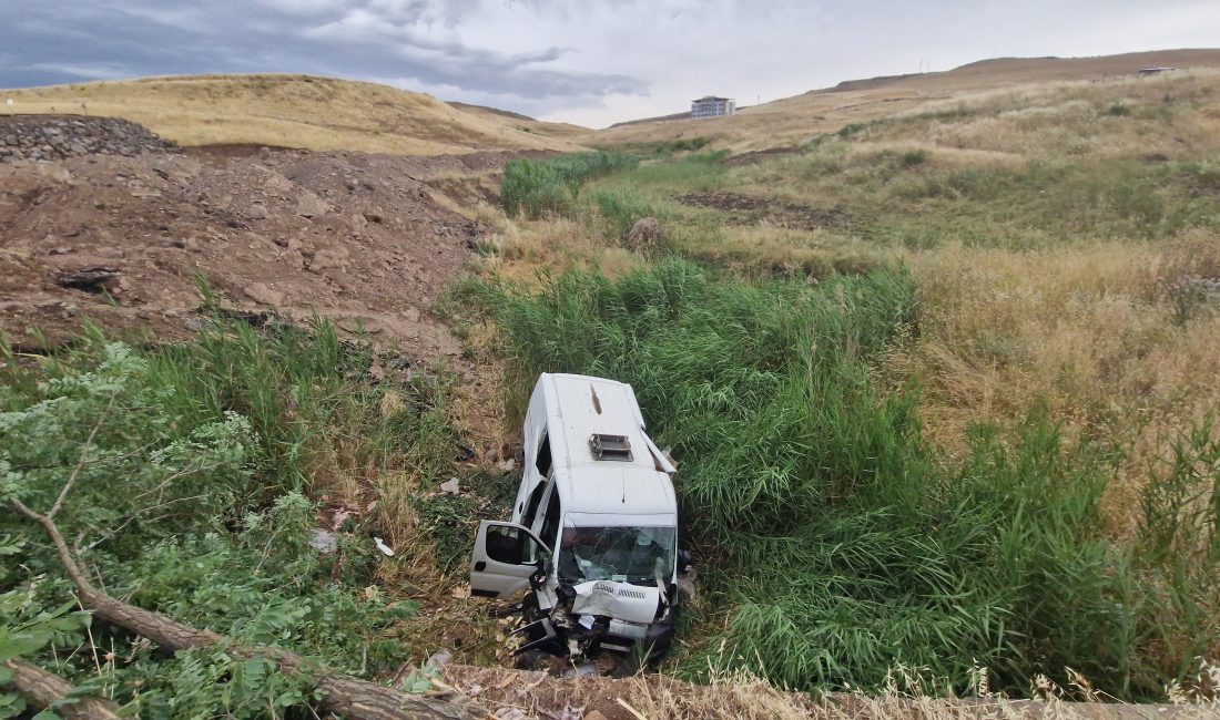 Diyarbakır-Mardin karayolunda meydana gelen trafik kazasında, dereye uçan sakatat yüklü