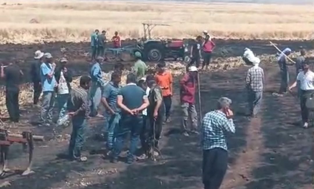 Diyarbakır’ın Kayapınar ve Dicle ilçelerinde çıkan yangın sonucu 200 dönüm